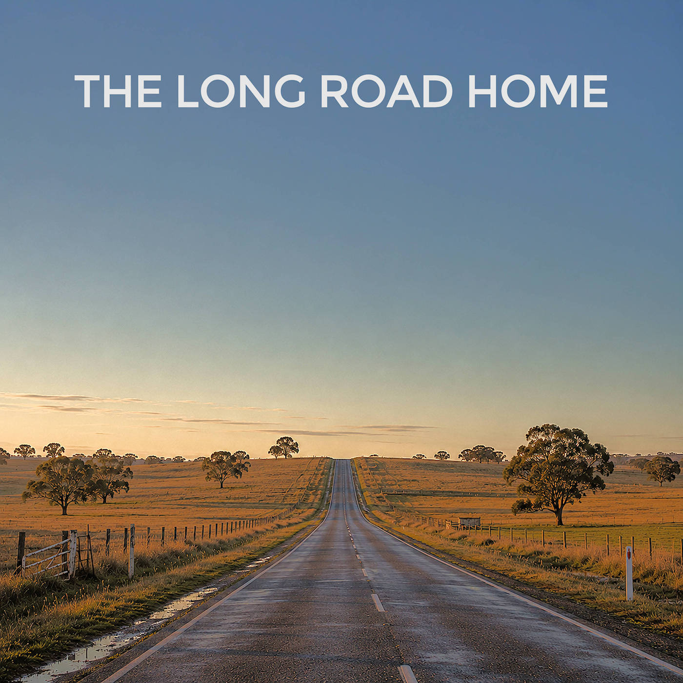 The Long Road Home cover